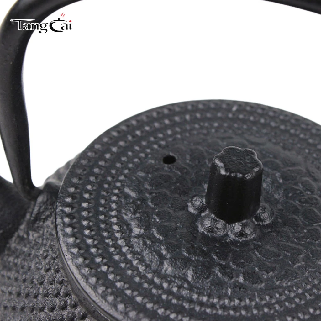 600ml Multi-use Cast Iron Teapot for Boiling & Brewing Tea